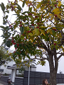 IMG_2024-01-03-13-05-04-848_thumb.png