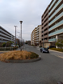 IMG_2024-01-03-13-39-13-169_thumb.png
