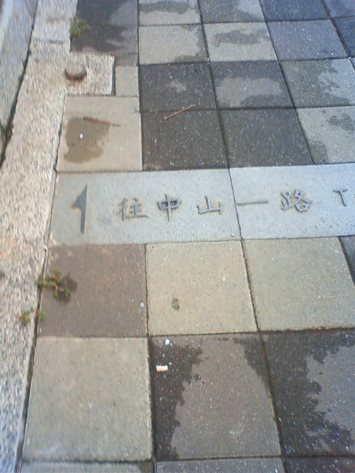 NEC_1175.JPG