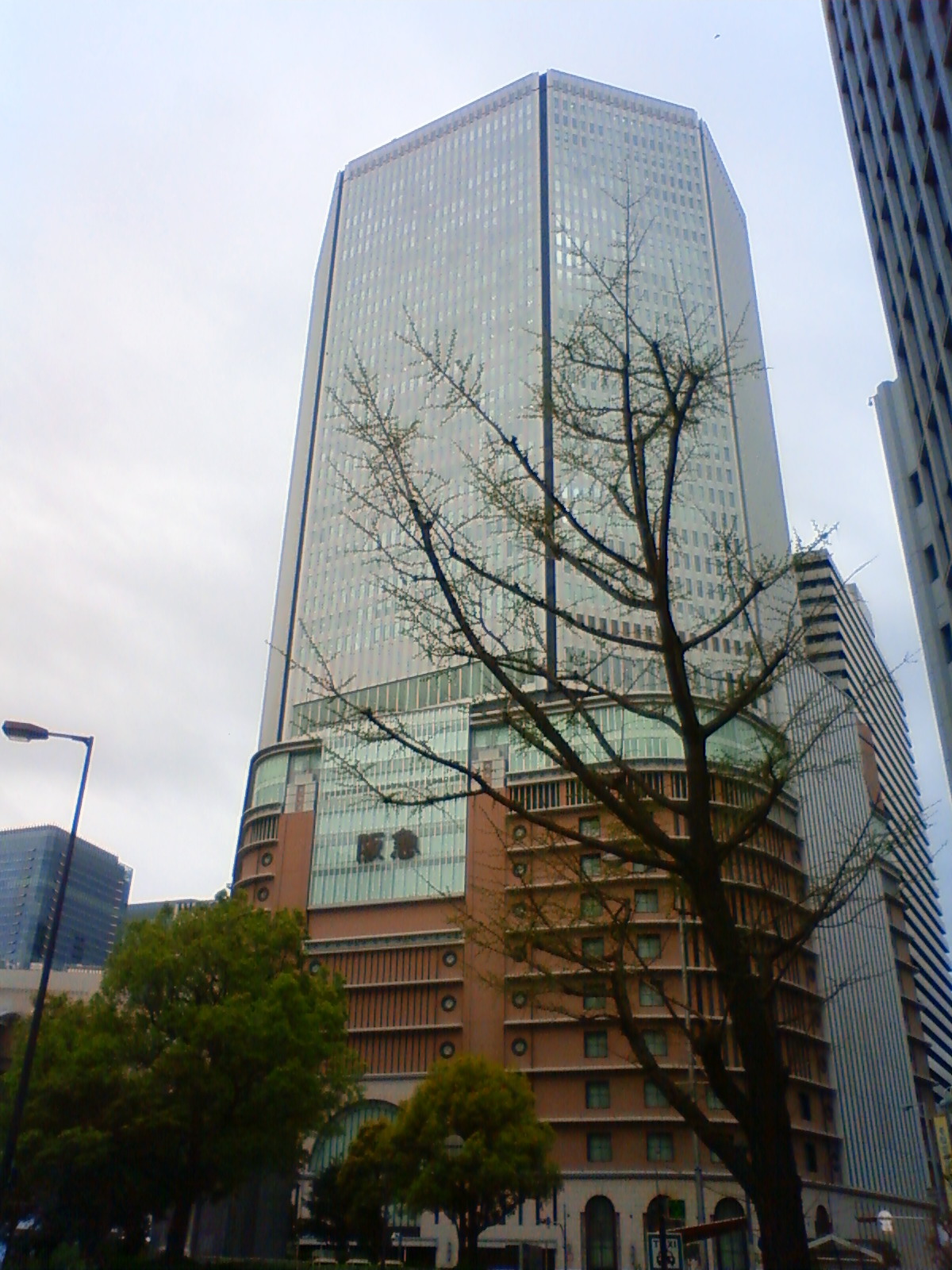 NEC_0275.JPG
