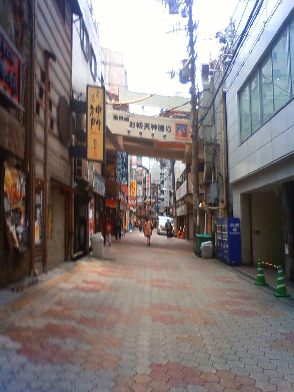NEC_0281.JPG