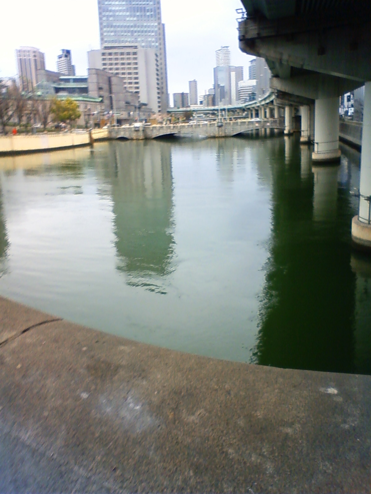 NEC_0285.JPG