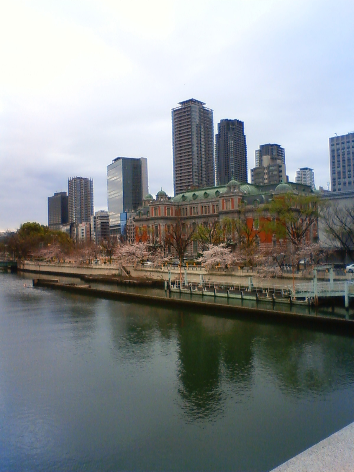 NEC_0287.JPG