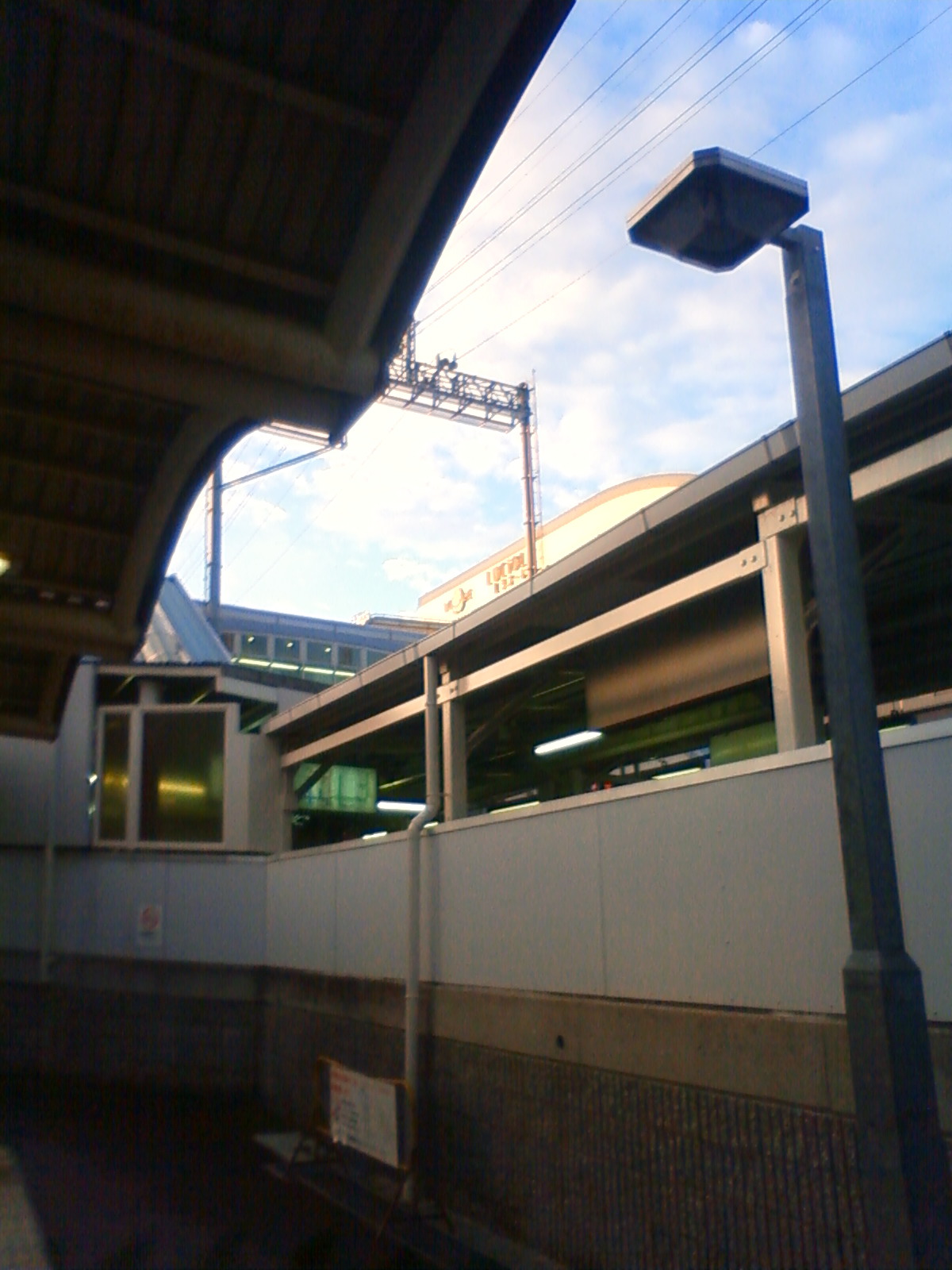 NEC_1558.JPG