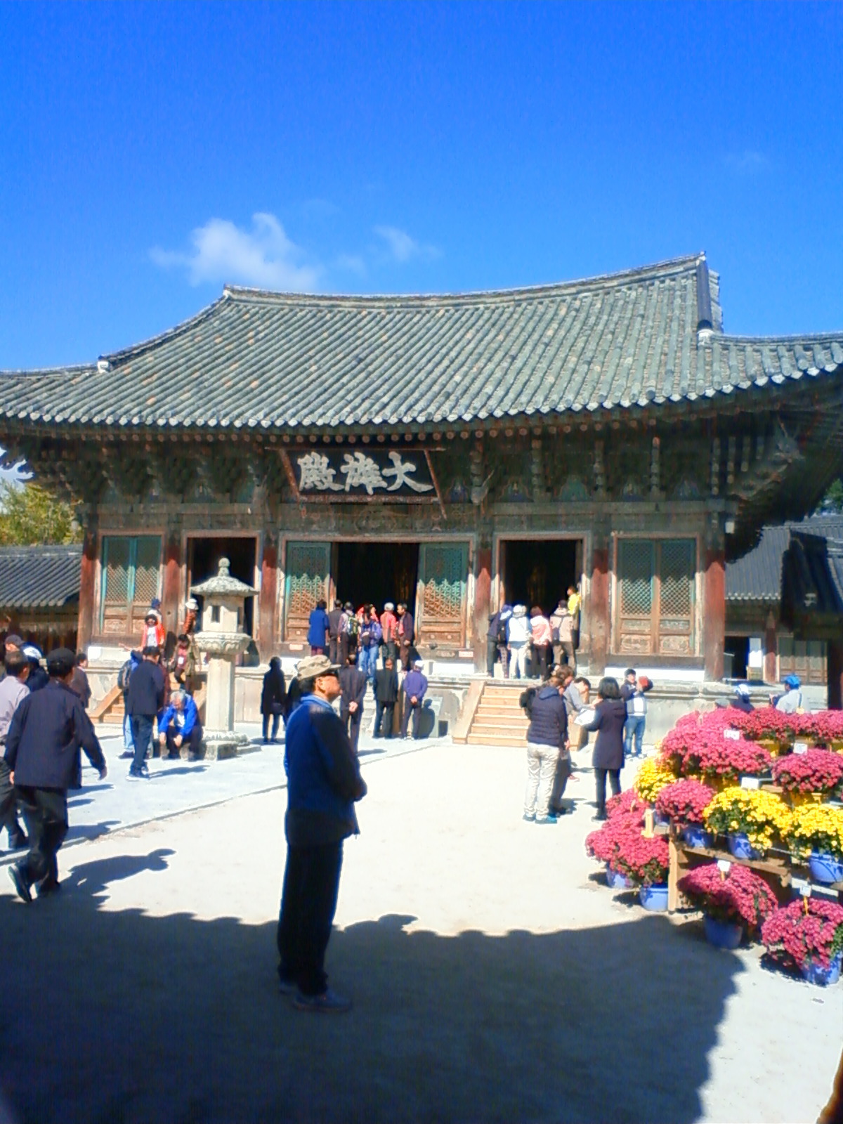 NEC_1602.JPG