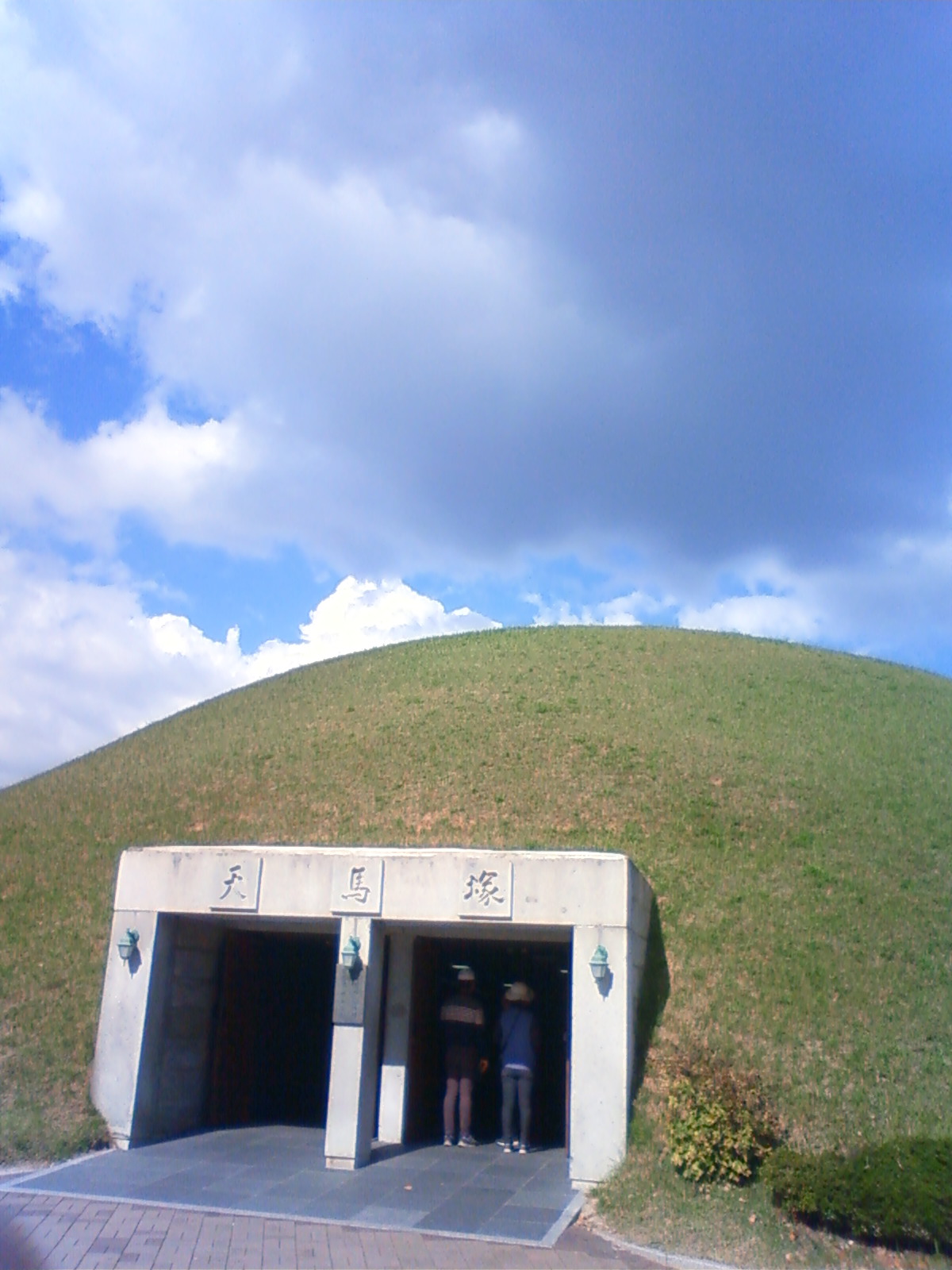 NEC_1611.JPG