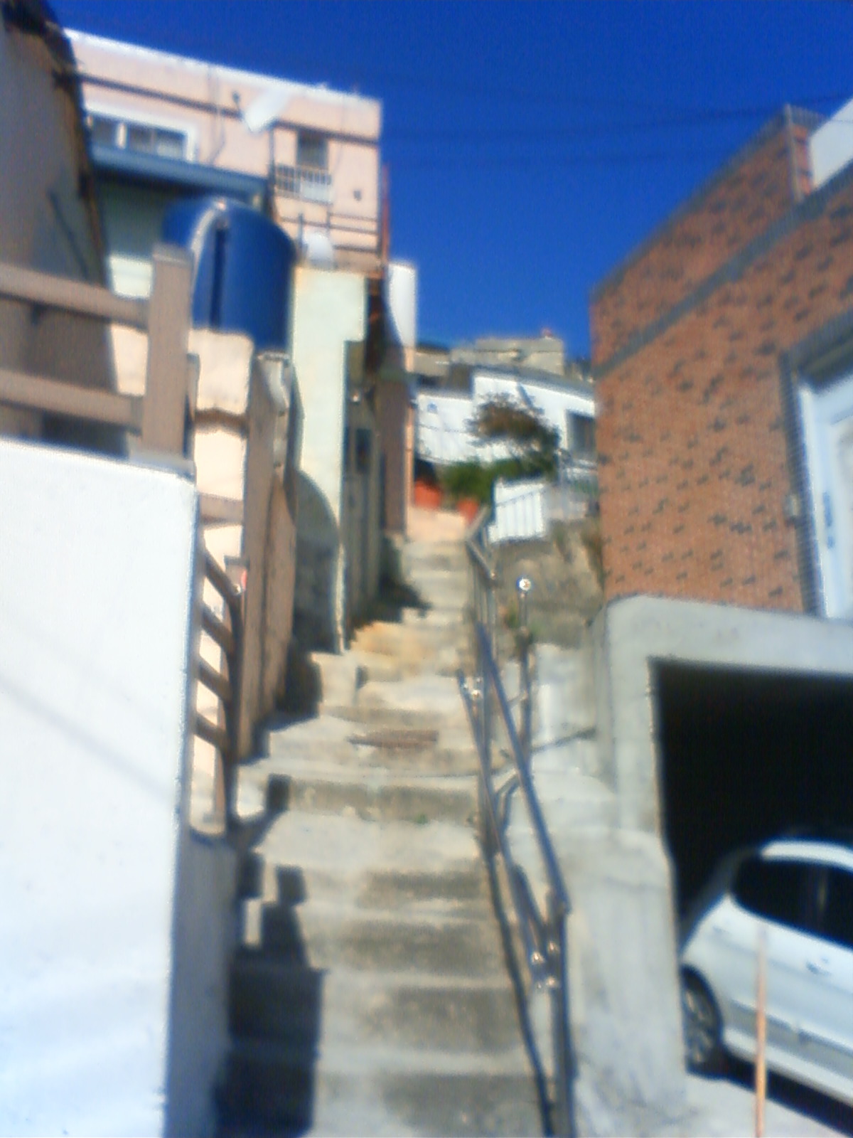 NEC_1624.JPG