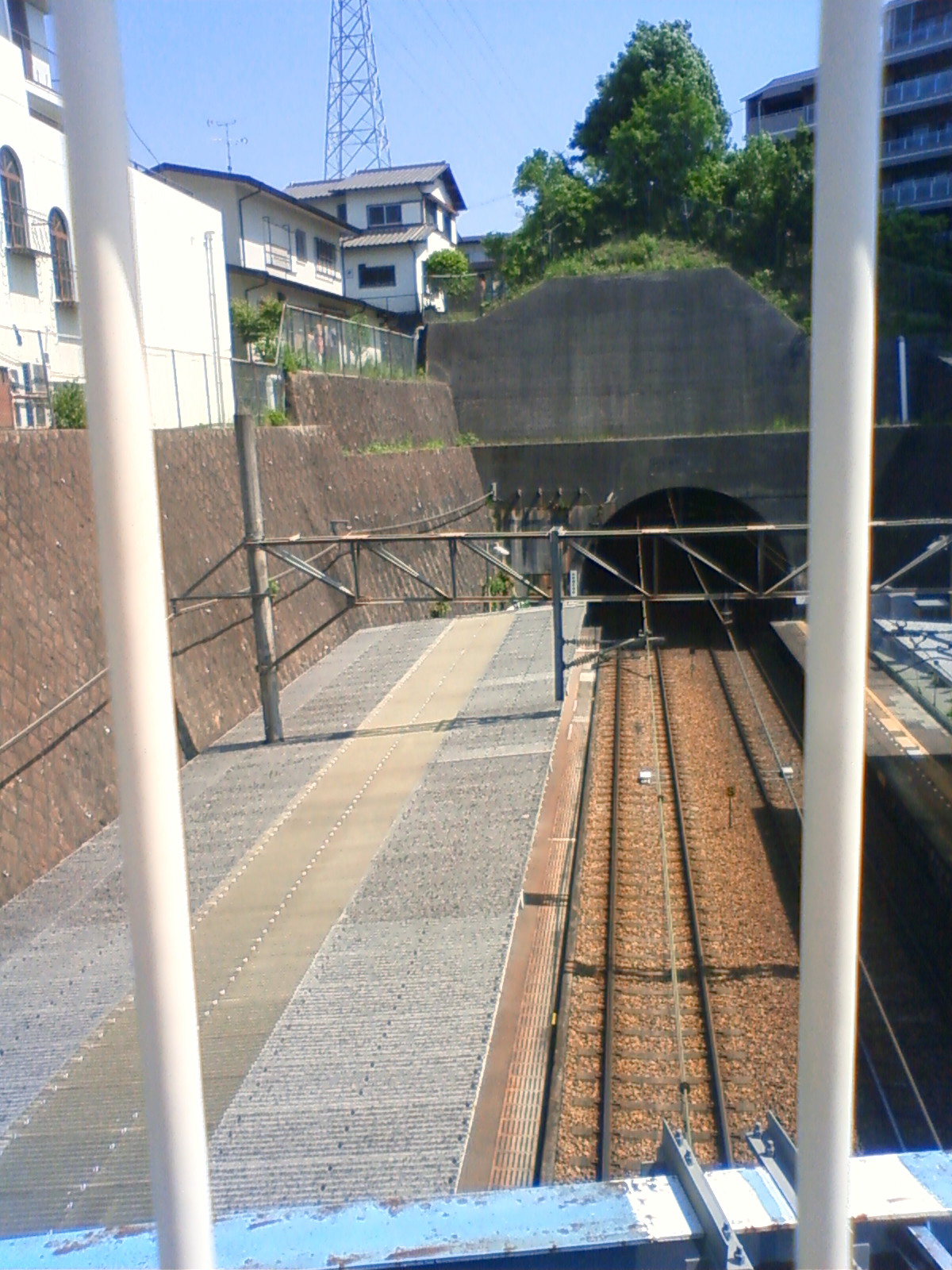 NEC_0626.JPG