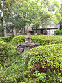 IMG_2025-06-15-09-17-09-520_thumb.png