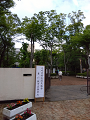 IMG_2025-06-15-09-18-30-324_thumb.png