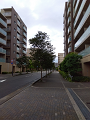 IMG_2025-06-15-09-20-50-185_thumb.png