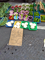 IMG_2025-06-22-09-04-40-230_thumb.png
