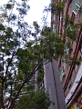 IMG_2025-06-22-09-45-26-952_thumb.png