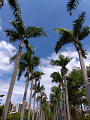 IMG_2025-06-22-10-13-06-798_thumb.png