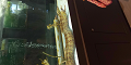 DSC_0134_thumb.png