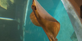 DSC_0144_thumb.png