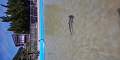 DSC_0190_thumb.png