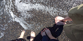 DSC_0249_thumb.png