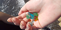 DSC_0258_thumb.png