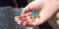 DSC_0259_thumb.png