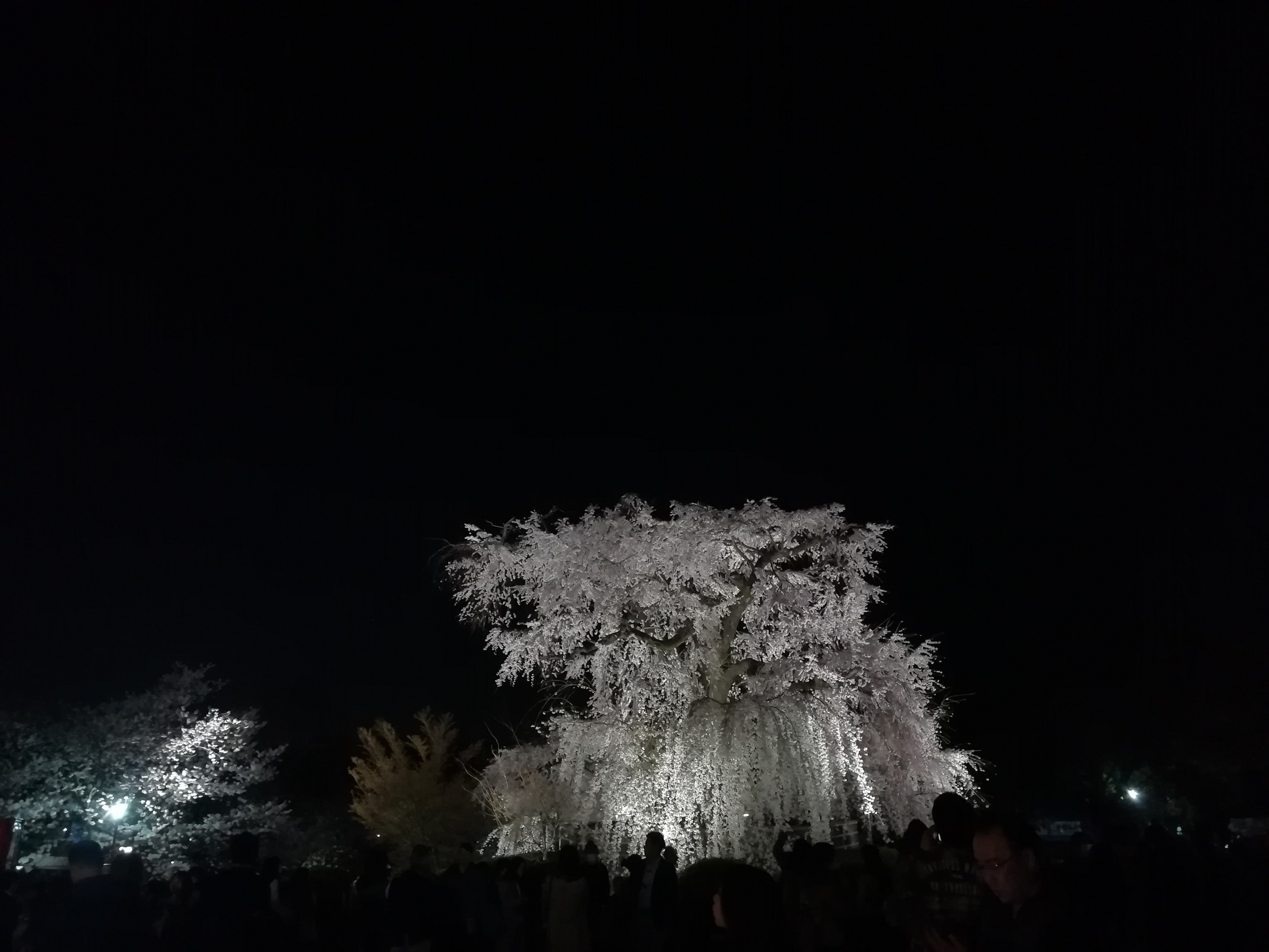 1522548884241.jpg