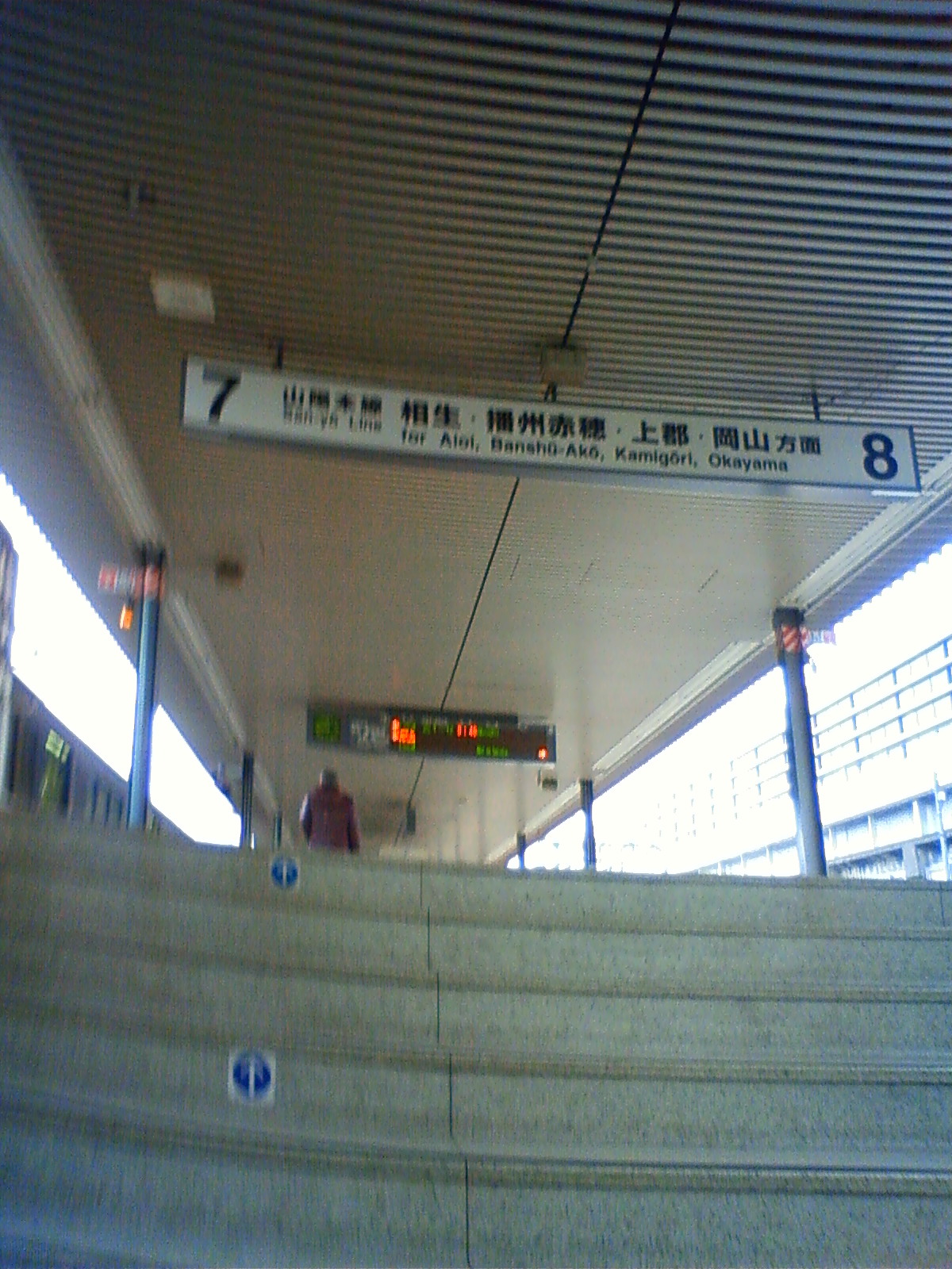 NEC_0262.JPG