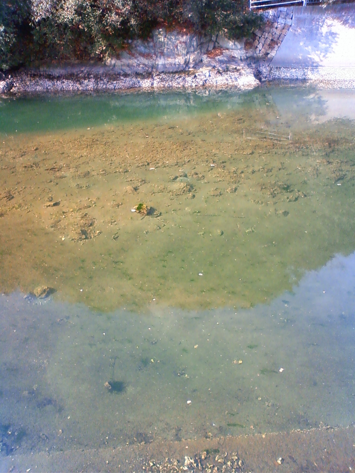 NEC_0282.JPG