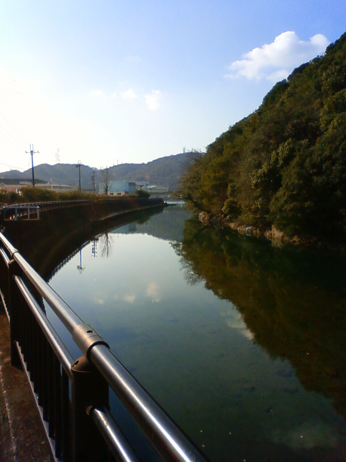 NEC_0283.JPG