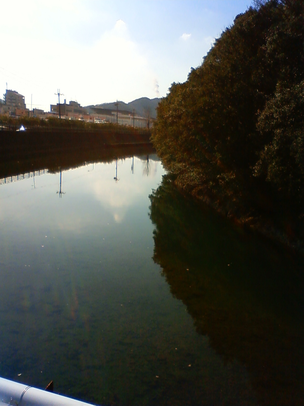 NEC_0285.JPG