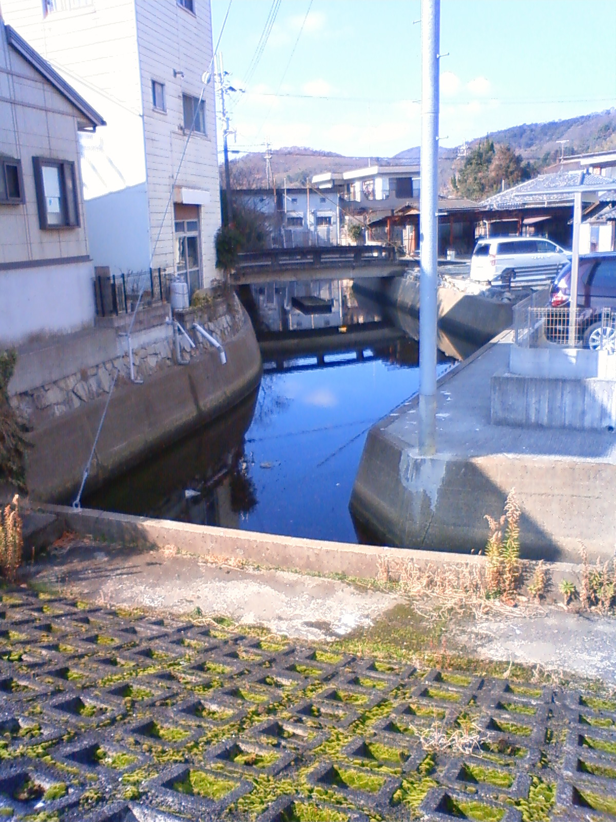NEC_0286.JPG
