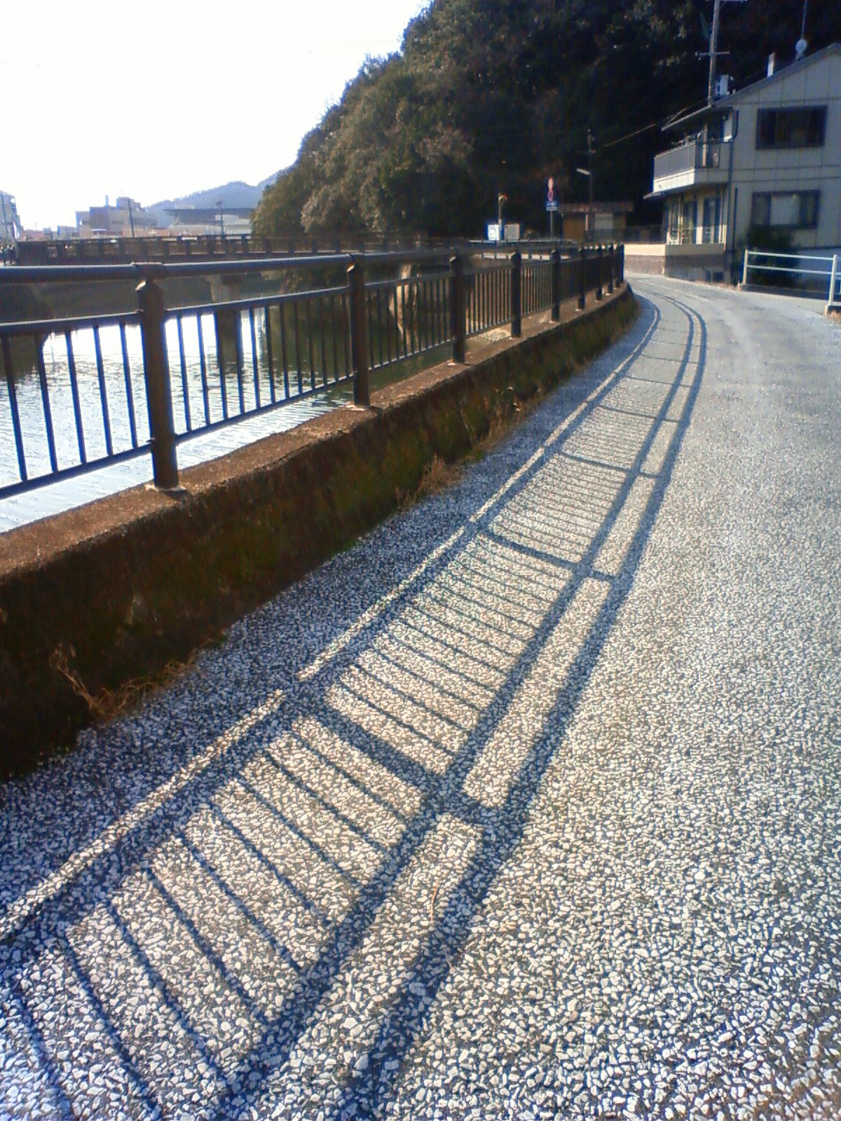 NEC_0287.JPG