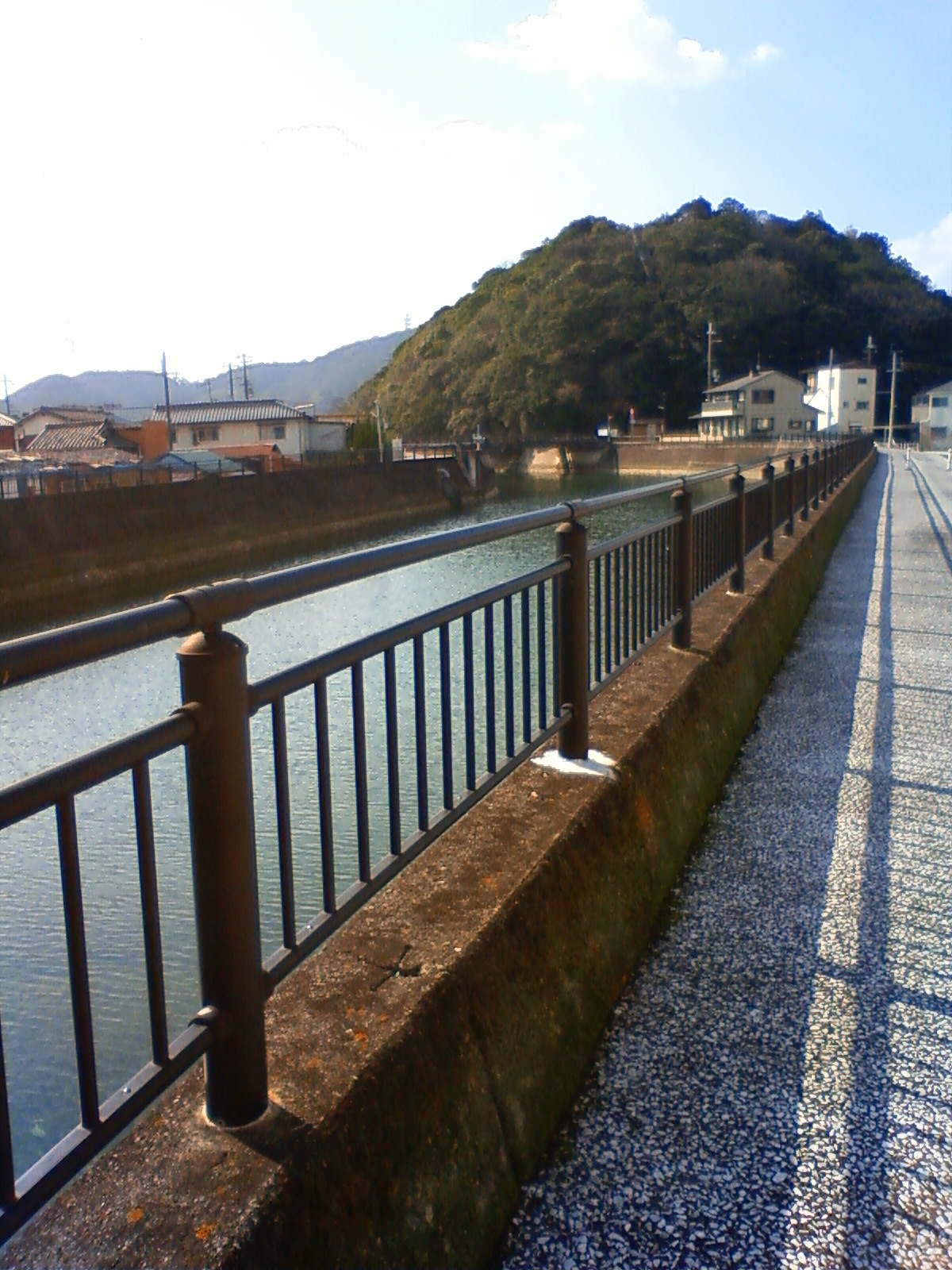 NEC_0288.JPG