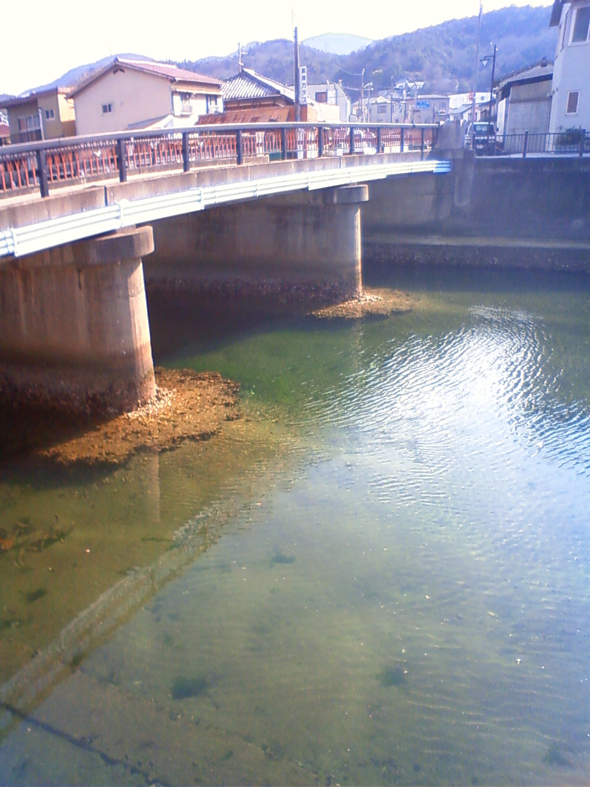 NEC_0289.JPG