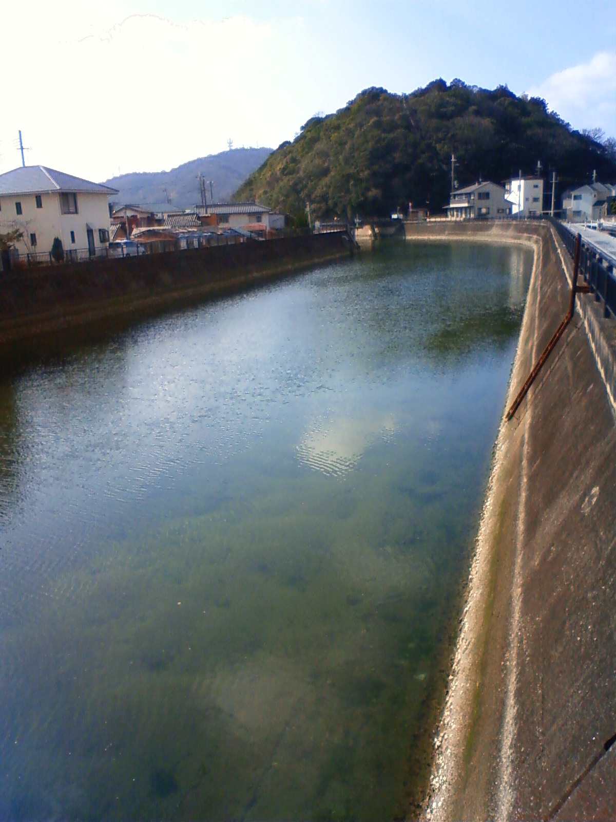 NEC_0290.JPG