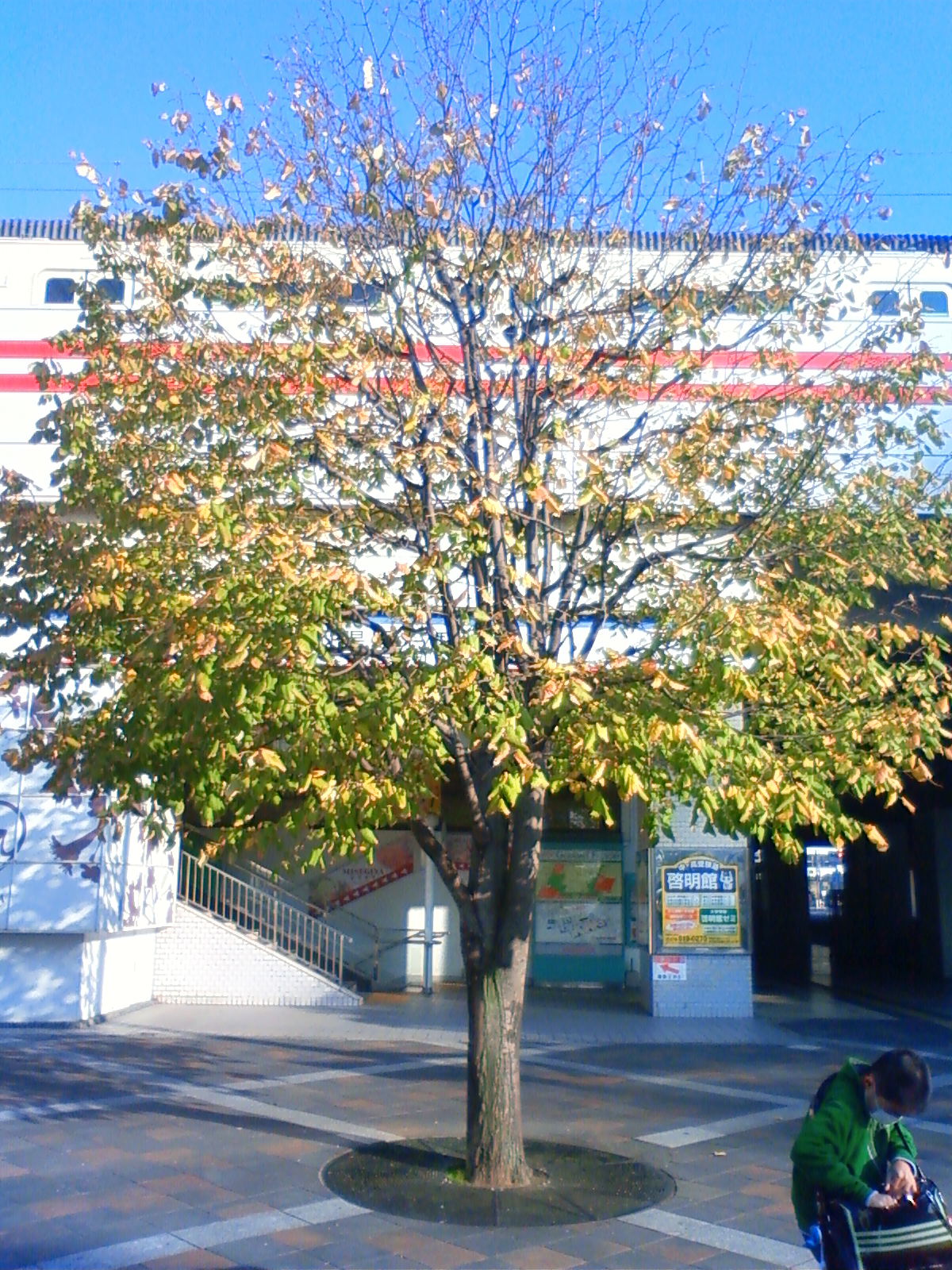 NEC_0050.JPG