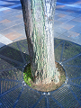 NEC_0053_thumb.png