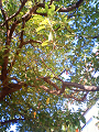 NEC_0055_thumb.png