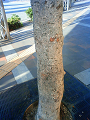 NEC_0056_thumb.png