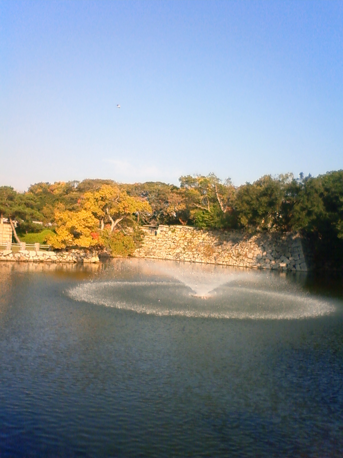 NEC_0058.JPG