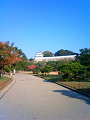 NEC_0060_thumb.png