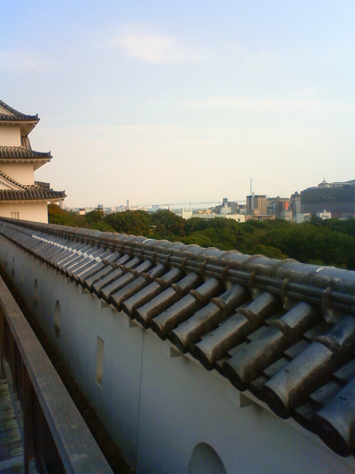 NEC_0061.JPG