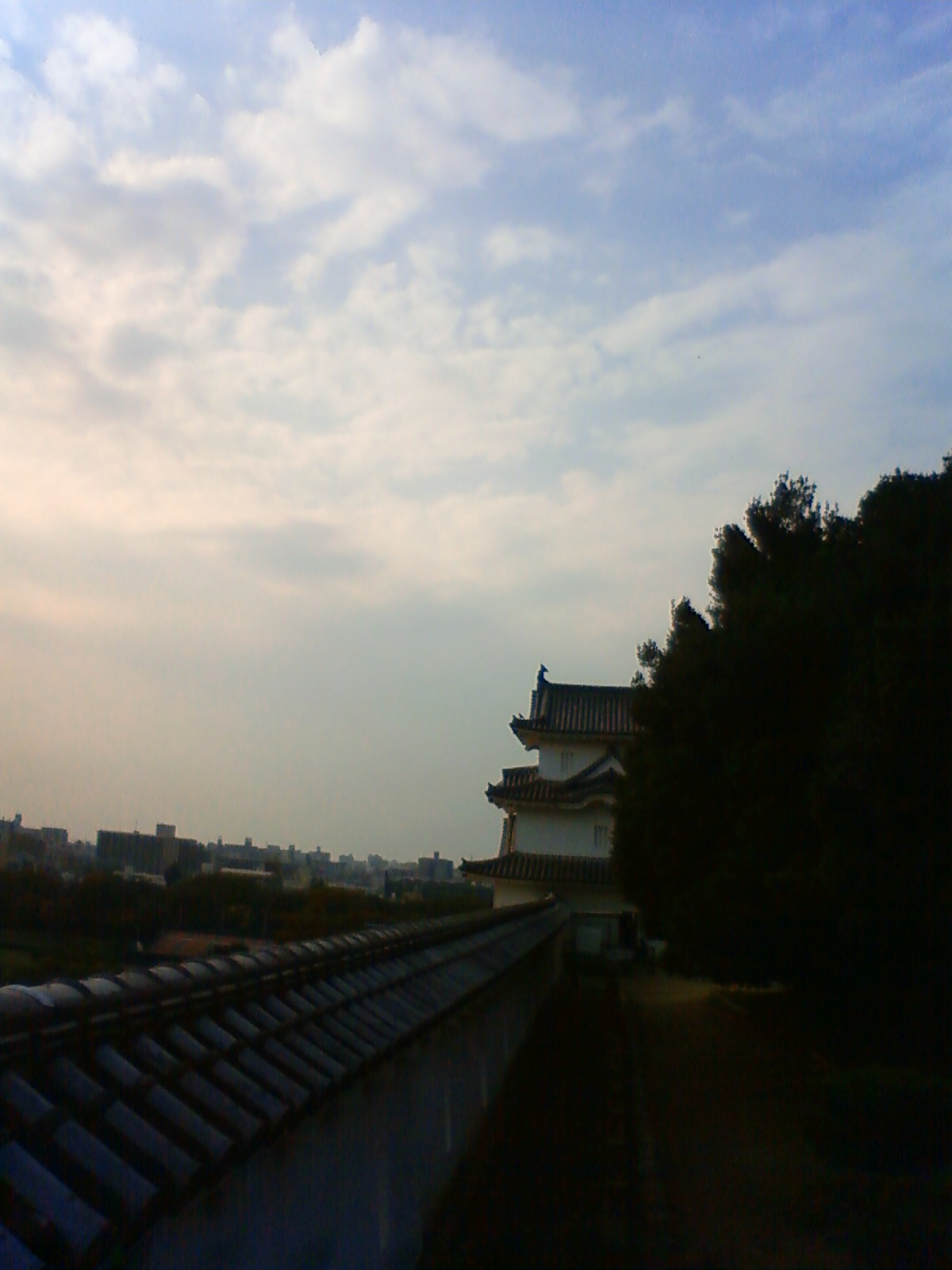 NEC_0062.JPG