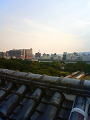 NEC_0063_thumb.png