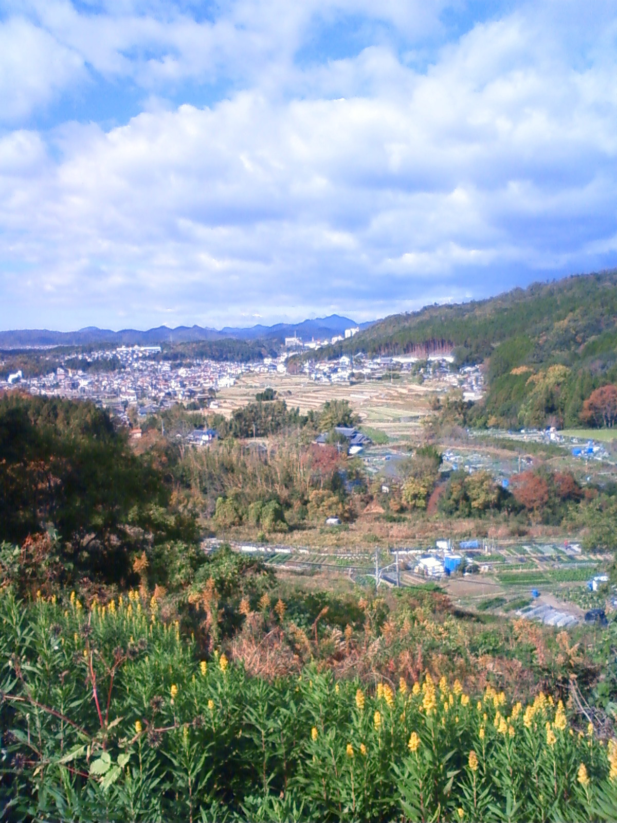 NEC_1692.JPG