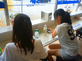 NEC_0707_thumb.png