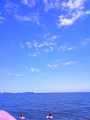 NEC_0715_thumb.png