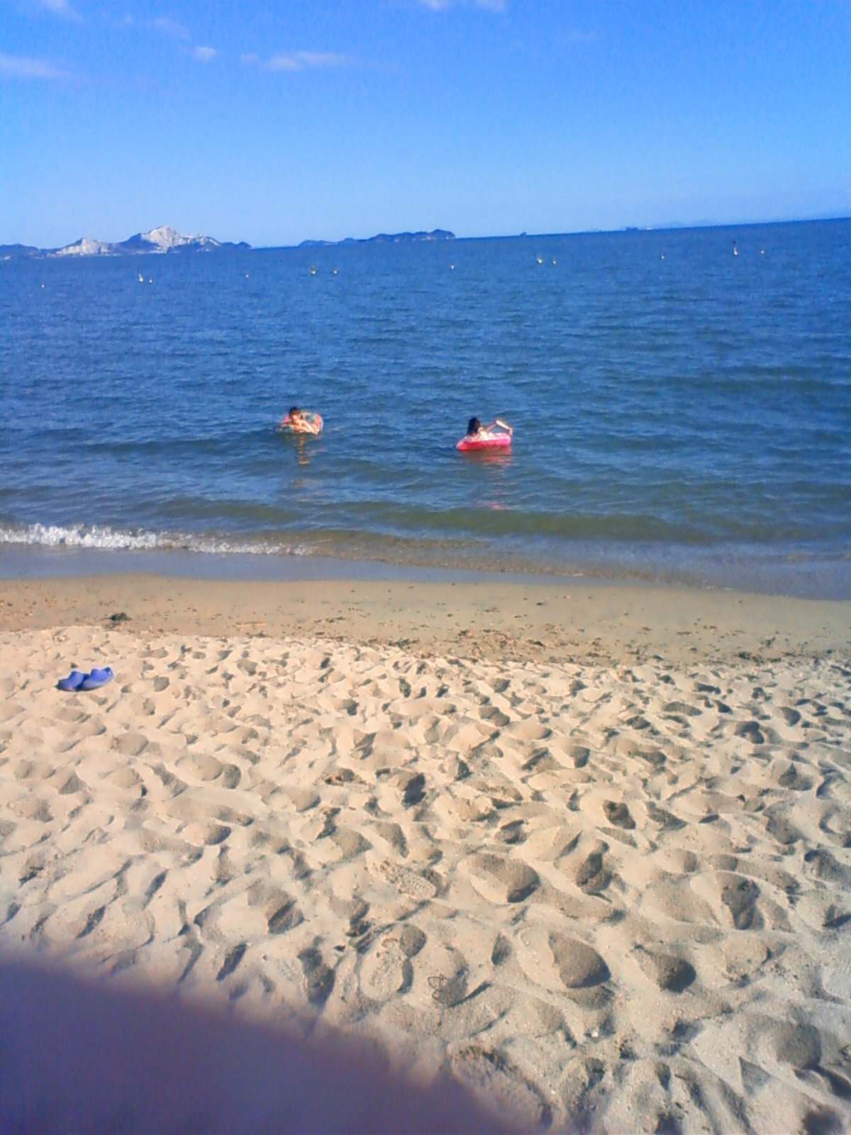 NEC_0717.JPG