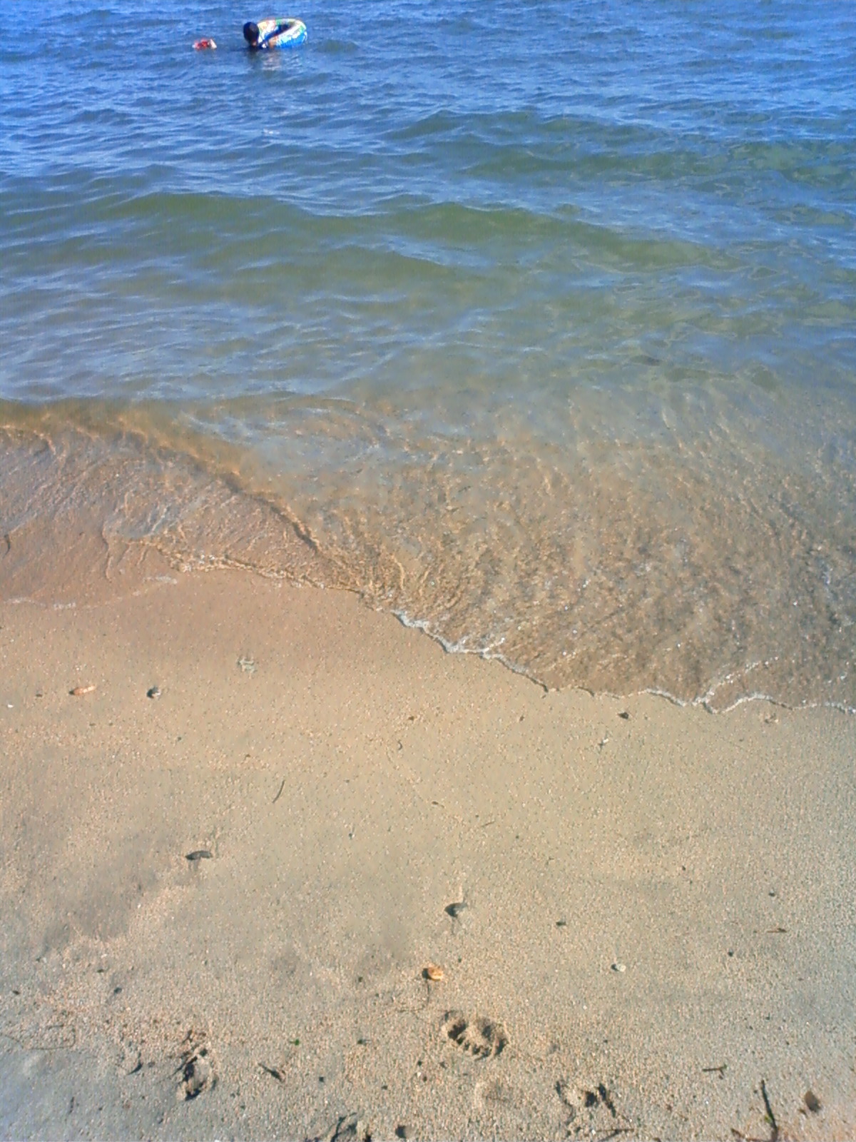 NEC_0720.JPG