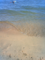 NEC_0720_thumb.png