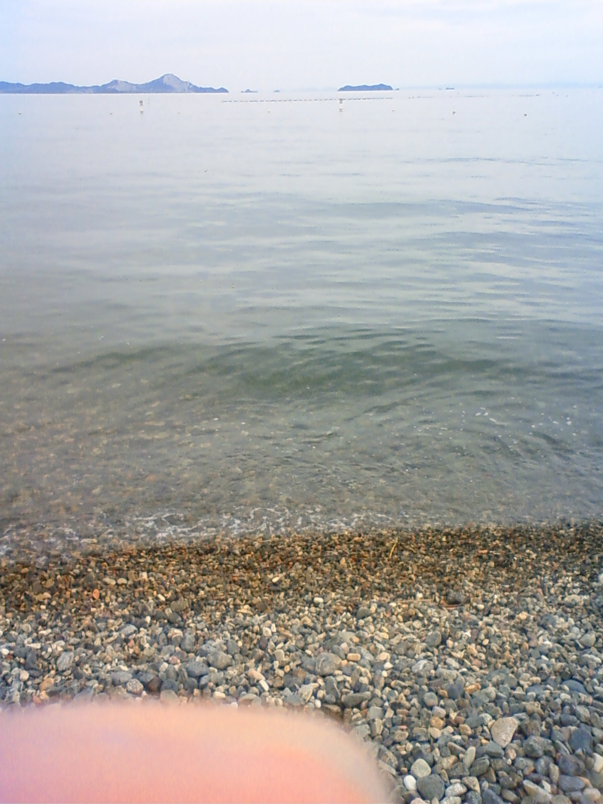 NEC_0758.JPG
